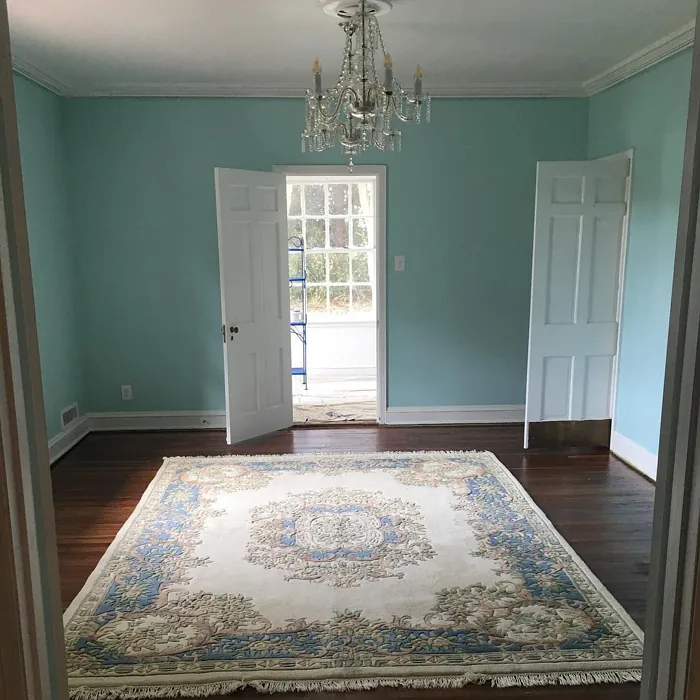 Sherwin Williams Meander Blue Living Room