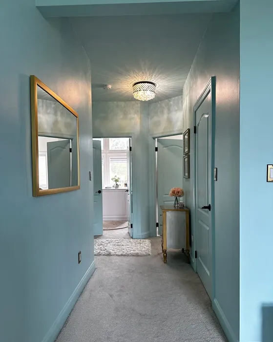 Sherwin Williams Meander Blue wall paint 
