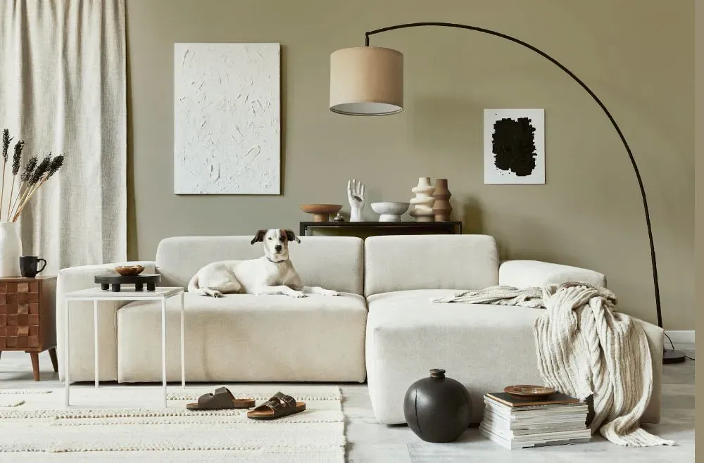 Sherwin Williams Meander cozy living room