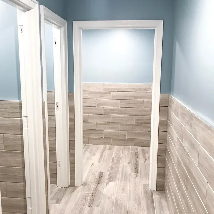 Sherwin Williams Meditative wall paint 