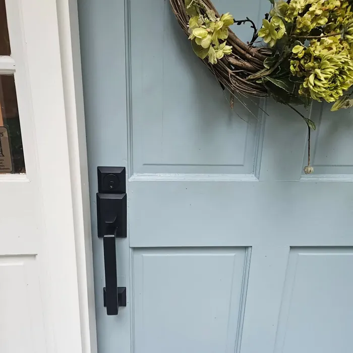 Sherwin Williams Meditative front door color