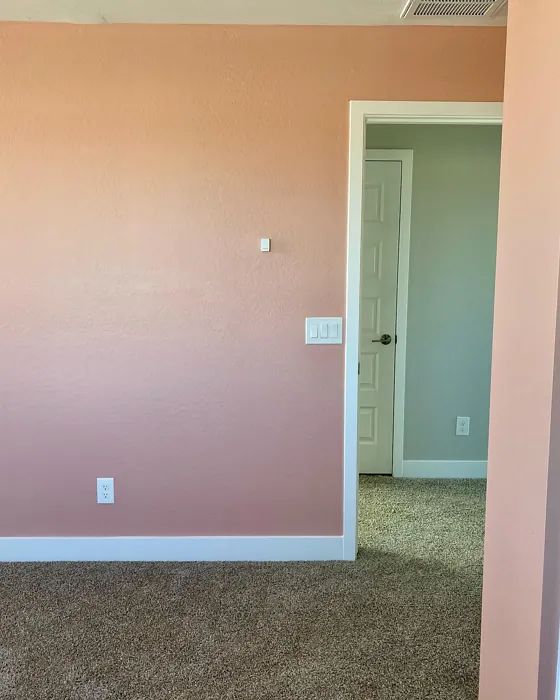 Sherwin Williams Mellow Coral kids' room color