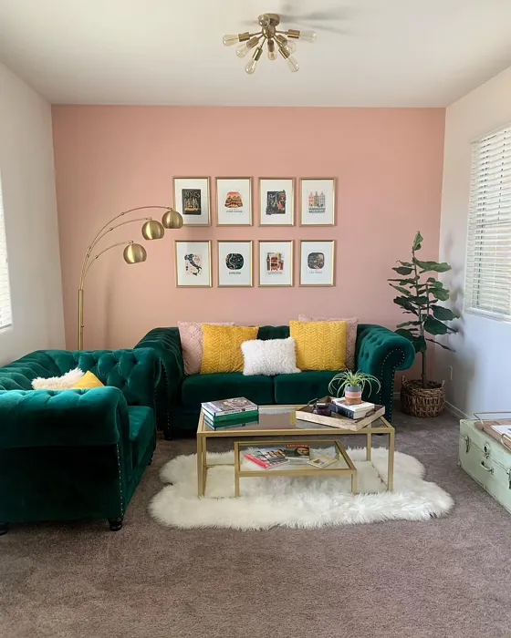 Sherwin Williams Mellow Coral Living Room