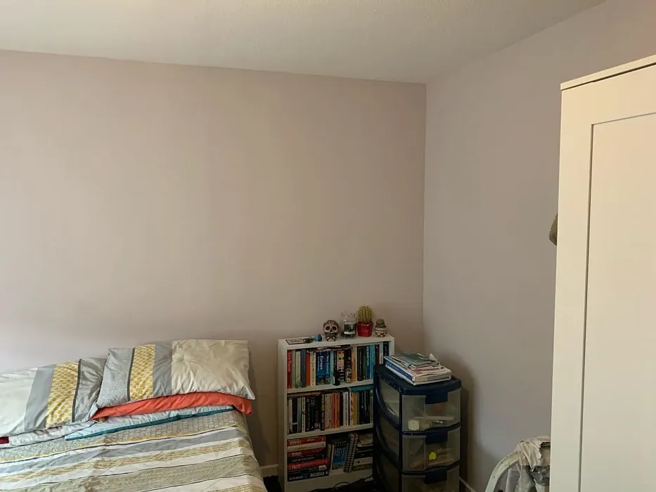 Mellow Mocha bedroom color review