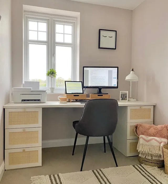Mellow Mocha home office color review