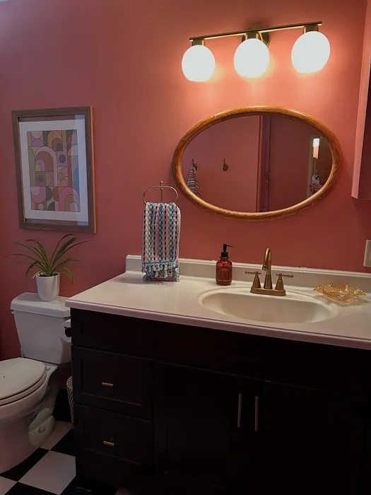 SW 6311 bathroom paint