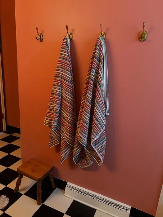 Memorable Rose bathroom paint