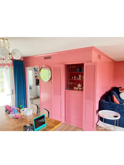 SW Memorable Rose wall paint 