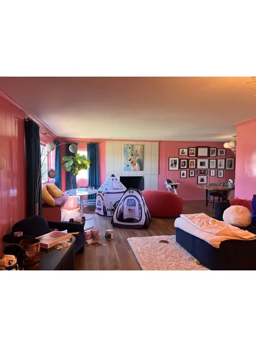 SW 6311 wall paint color review