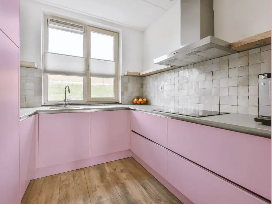Sherwin Williams Merry Pink small kitchen cabinets