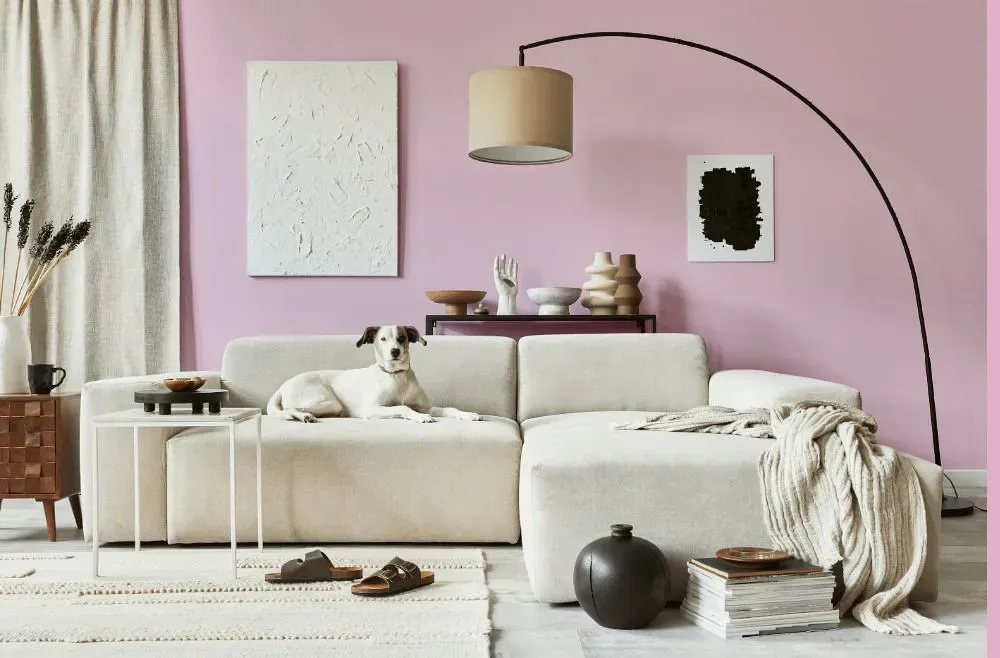 Sherwin Williams Merry Pink cozy living room