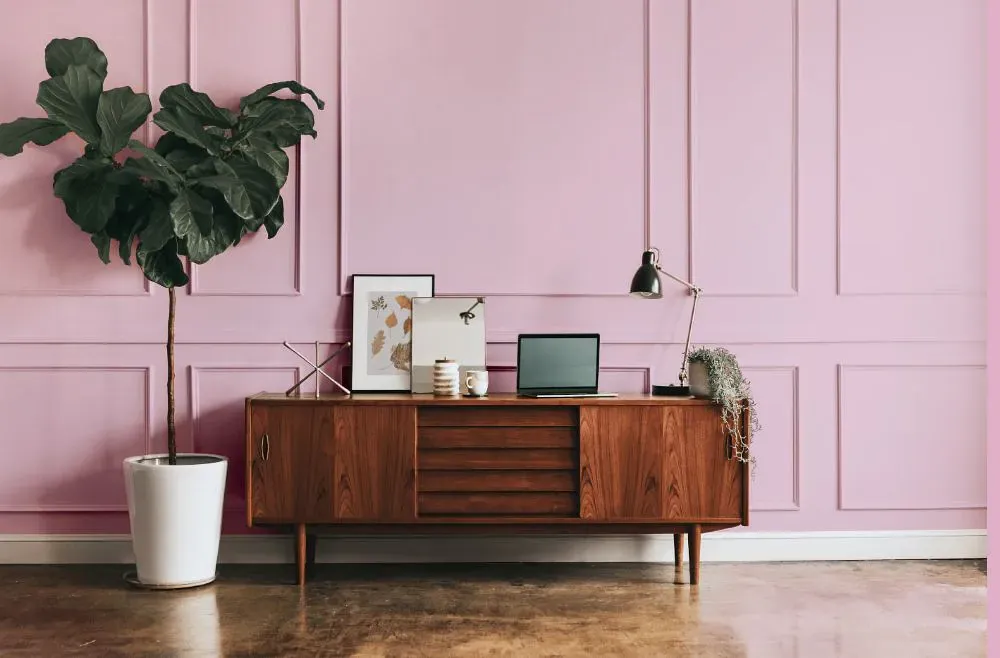 Sherwin Williams Merry Pink modern interior