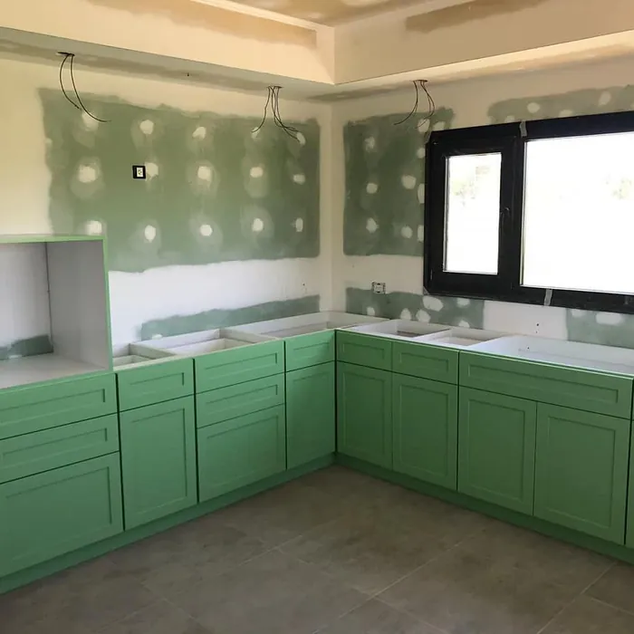 Mesclun Green Kitchen Cabinets