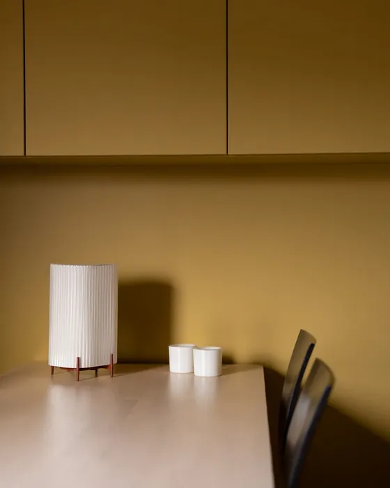 Jotun Mexico  wall paint color