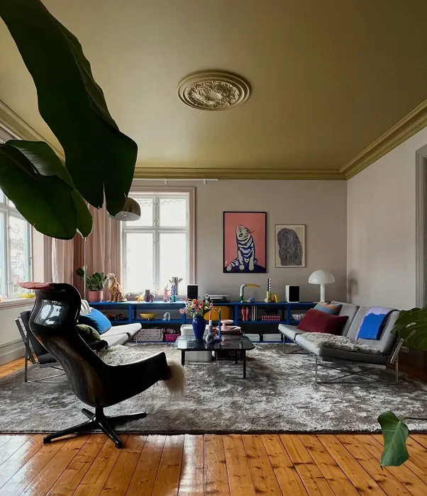 Jotun Mexico  ceiling paint