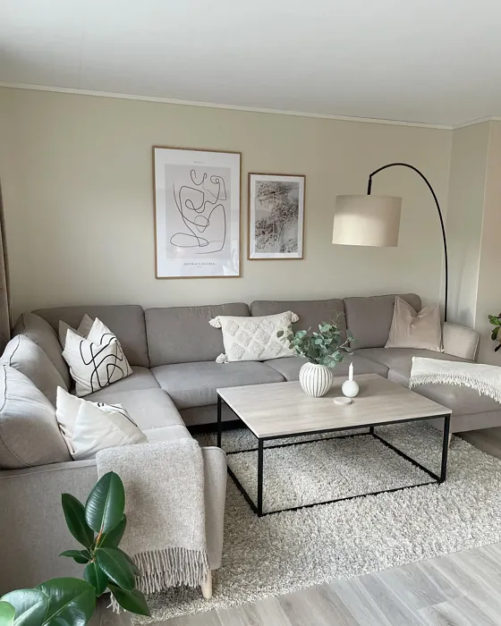 Jotun 1832 scandi living room paint review