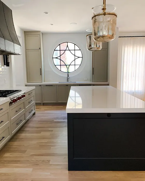 Mindful Gray Kitchen Cabinets