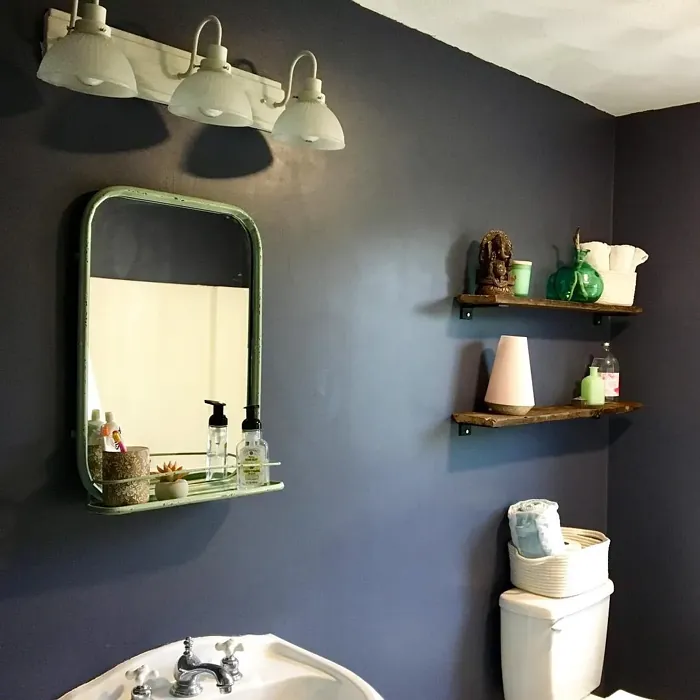 SW Mineral Gray bathroom color review
