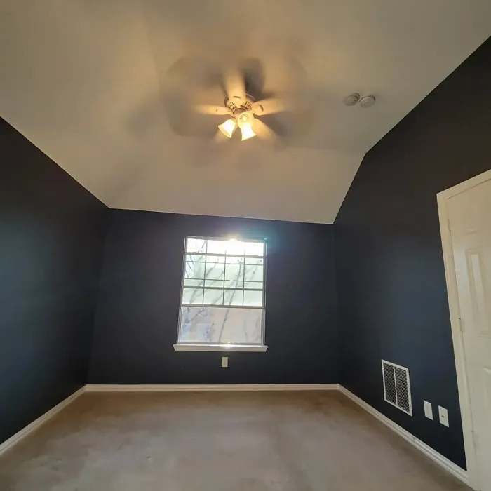 SW Mineral Gray wall paint color review