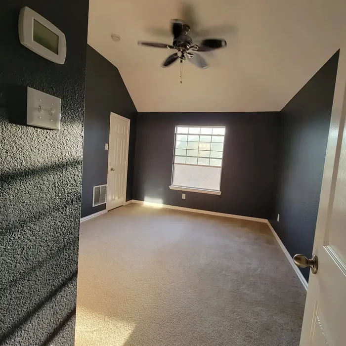 SW Mineral Gray wall paint review