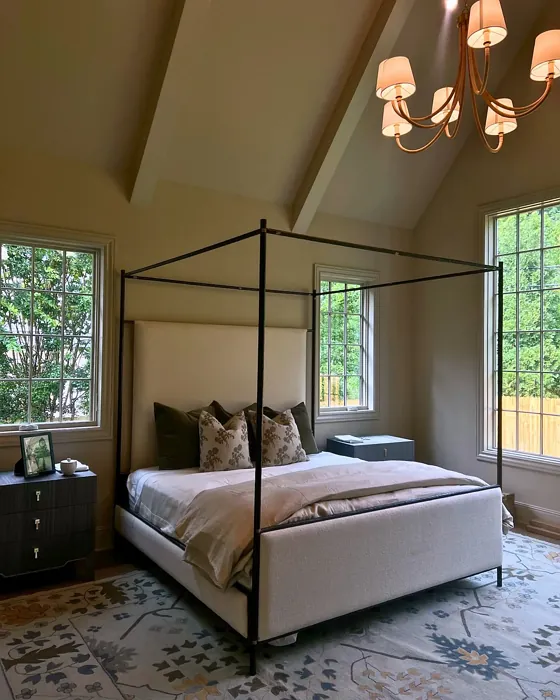 Sherwin Williams Minimalist bedroom color