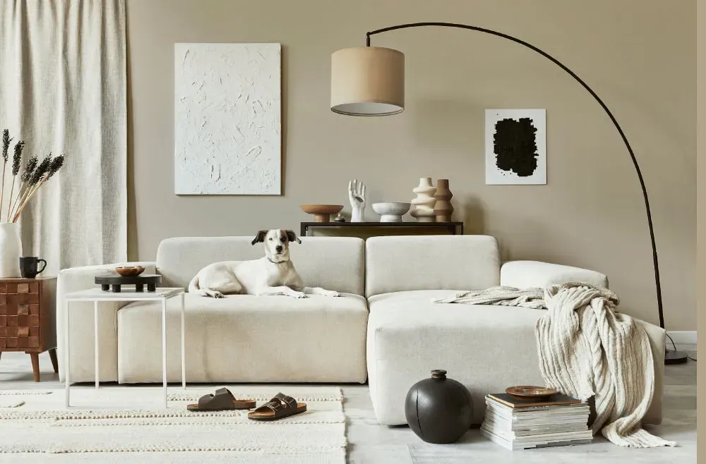 Sherwin Williams Minimalist cozy living room