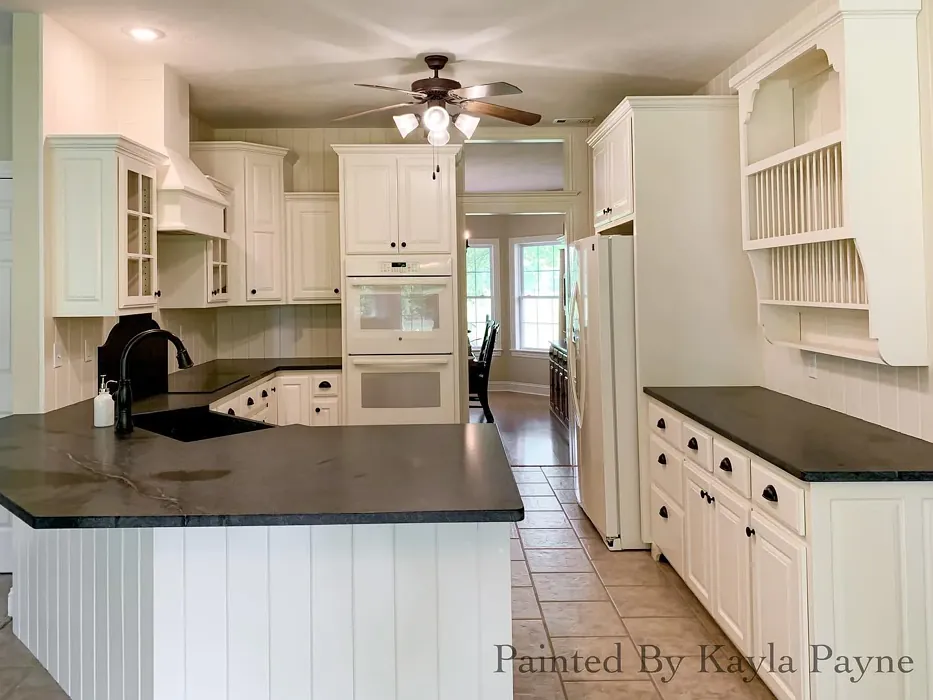 Sw Moderate White Kitchen Cabinets