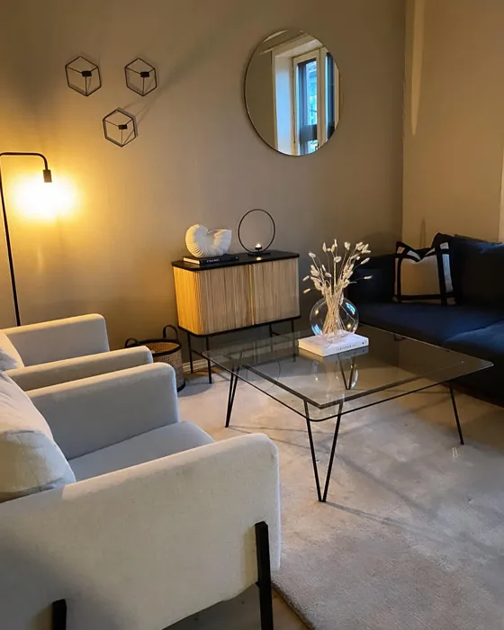 Modern Beige living room review