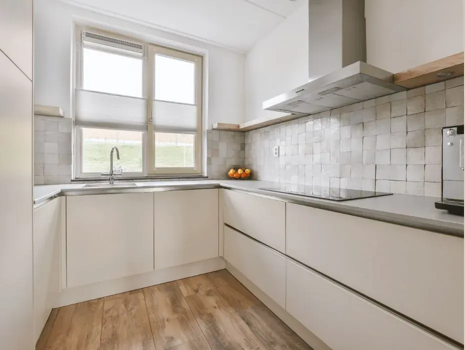 Sherwin Williams Modest White small kitchen cabinets