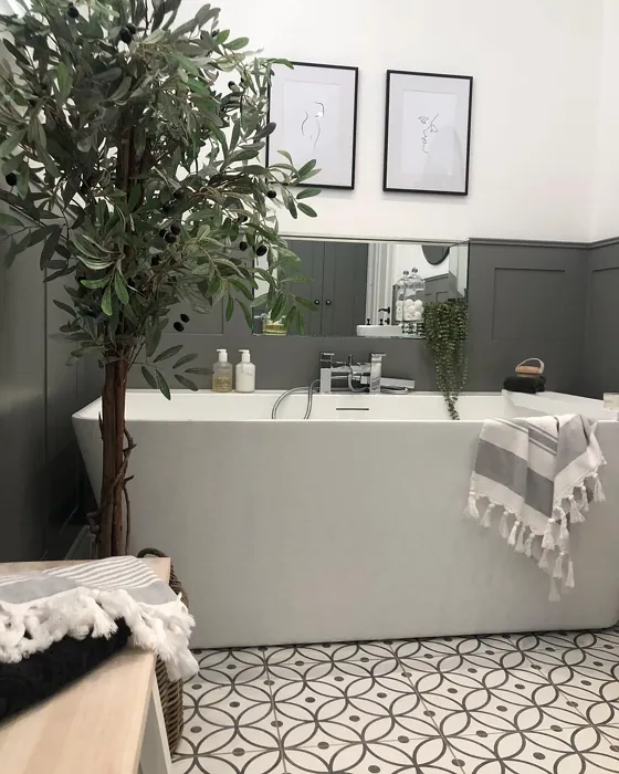 Farrow and Ball Mole's Breath modern bathroom 