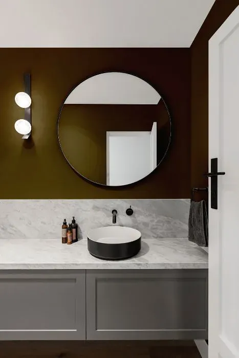 Sherwin Williams Momentum minimalist bathroom