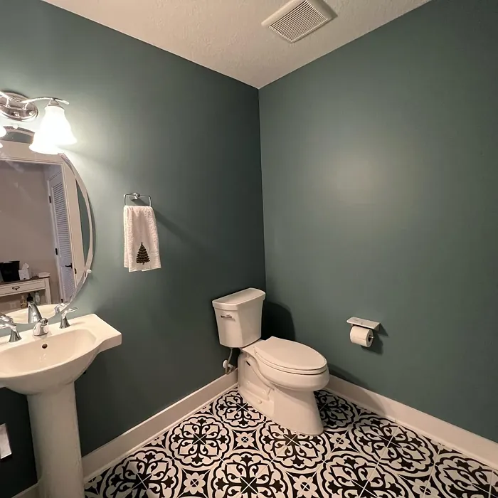 Sherwin Williams Moody Blue bathroom color
