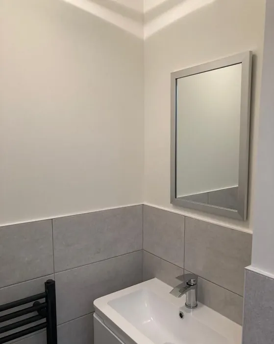 Moon Shimmer bathroom paint review