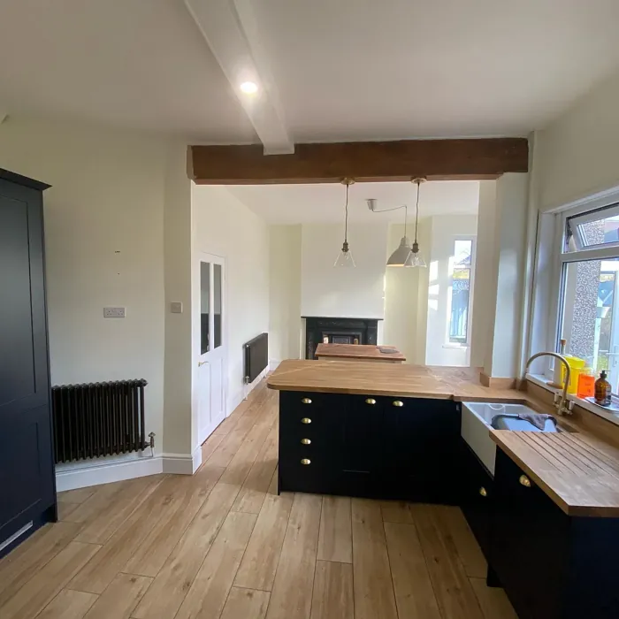 Moon Shimmer kitchen paint review