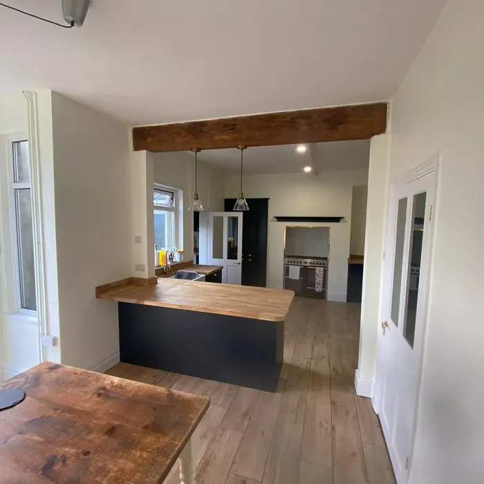 Dulux Moon Shimmer kitchen paint review