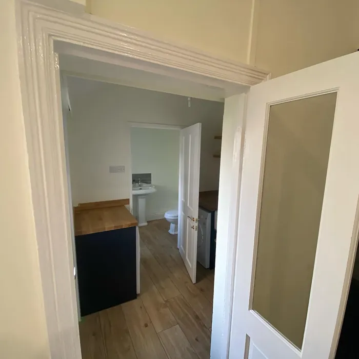 Dulux Moon Shimmer hallway color