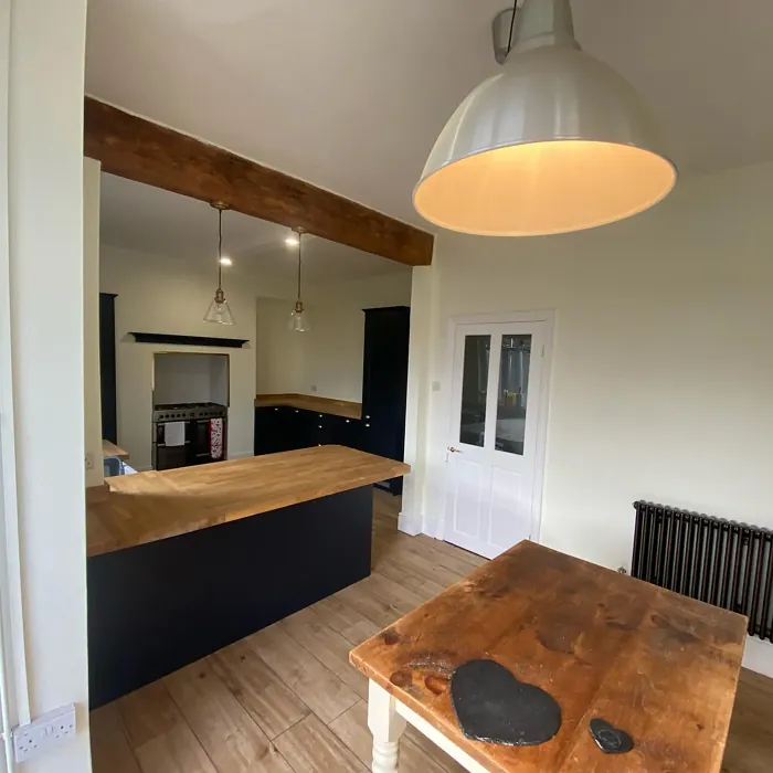 Dulux Moon Shimmer kitchen color review