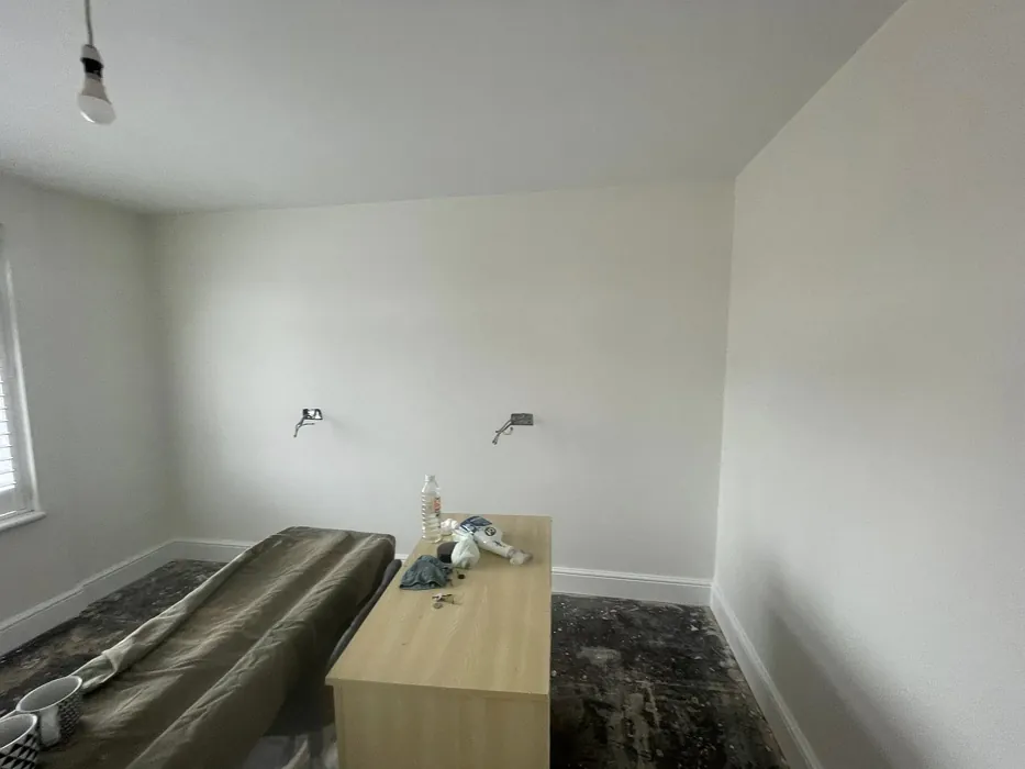 Dulux Moon Shimmer wall paint color