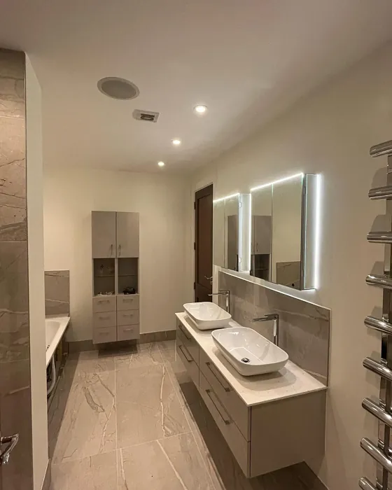 Dulux Moon Shimmer bathroom color review