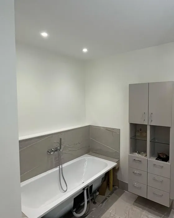 Dulux Moon Shimmer bathroom paint