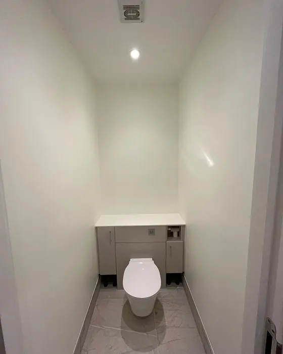 Dulux Moon Shimmer bathroom paint review