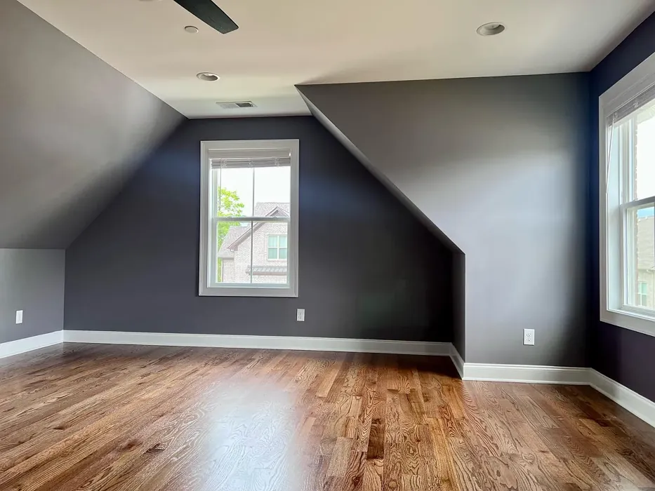 SW Moonlit Orchid wall paint 