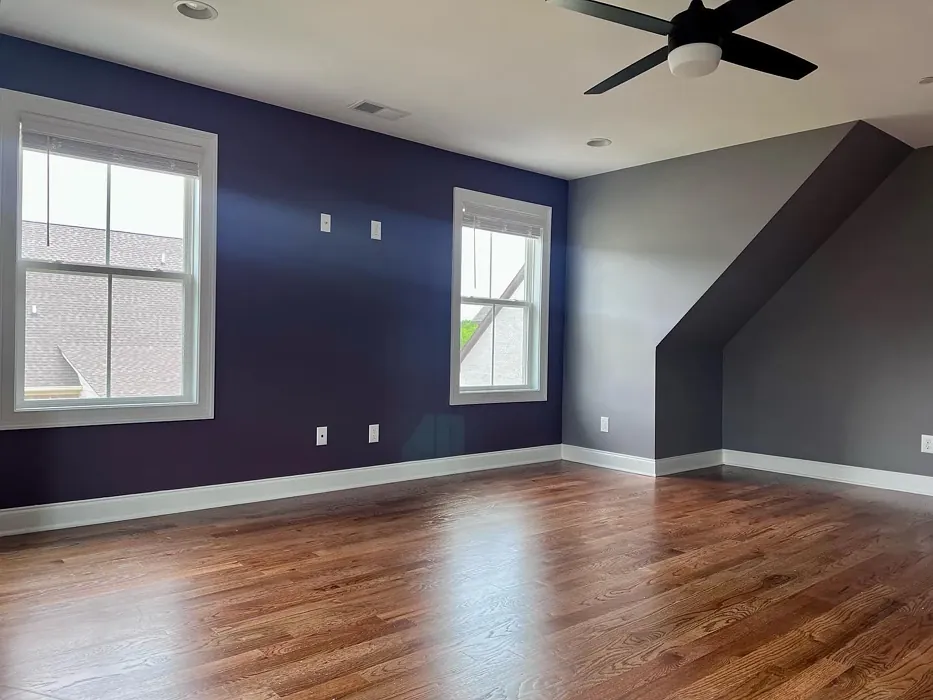 SW Moonlit Orchid wall paint color