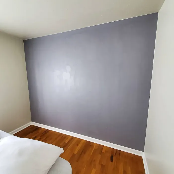 Sherwin Williams Moonlit Orchid accent wall 