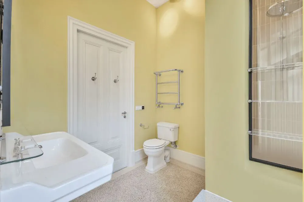 Sherwin Williams Moonraker bathroom