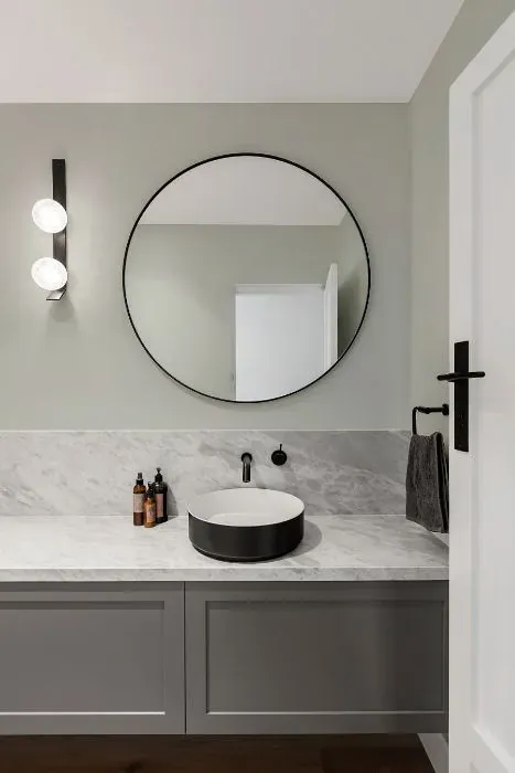 Sherwin Williams Moorstone minimalist bathroom