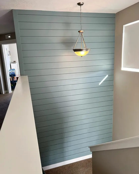 SW Morning at Sea accent wall 