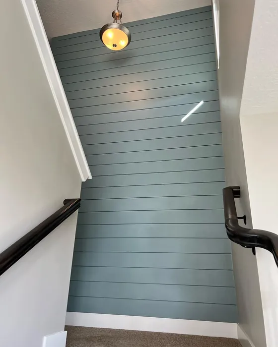 SW Morning at Sea accent wall color review