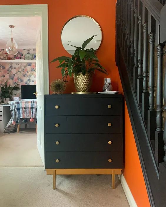 Dulux Moroccan Flame wall paint color