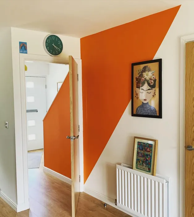 Dulux Moroccan Flame wall paint color-block